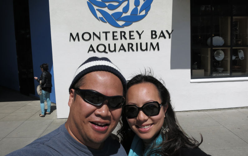 Amazing Pictures of Monterey Bay Aquarium