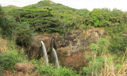 Trekking to the Base of Wailua Falls?