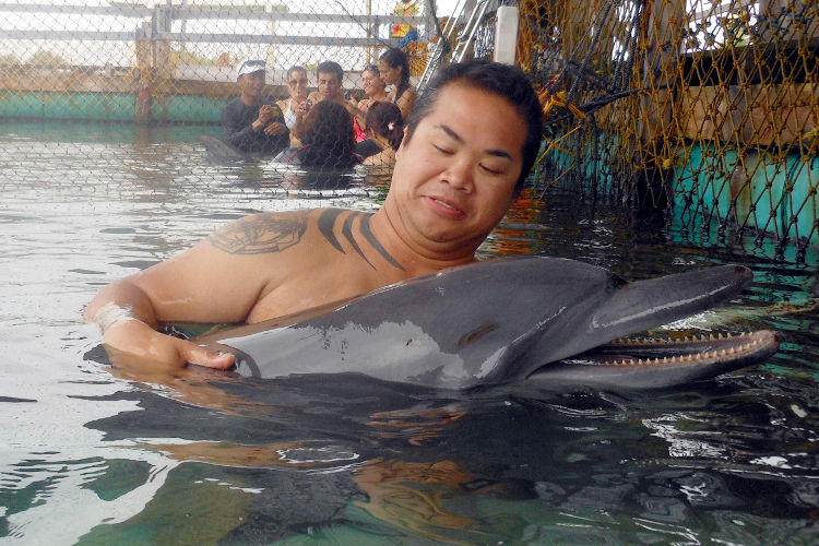 JM Dolphin Lodge Bali