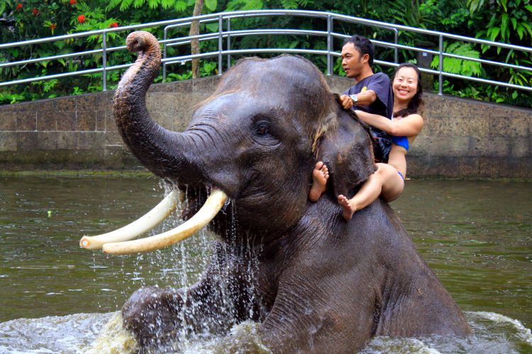 Nadia Bath Mason Elephant Lodge Bali