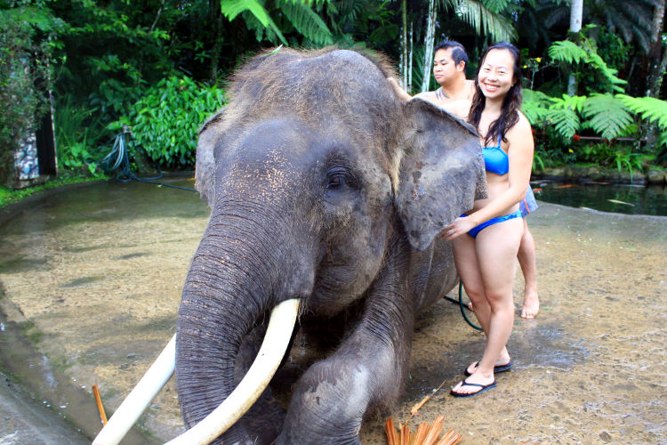 Nadia and JM Bath Mason Elephant Lodge Bali 16