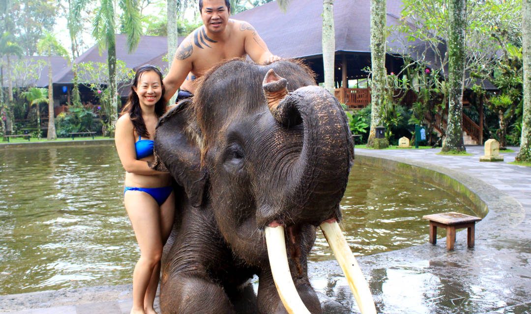 Bathing with Elephants at Bali Mason Elephant Lodge