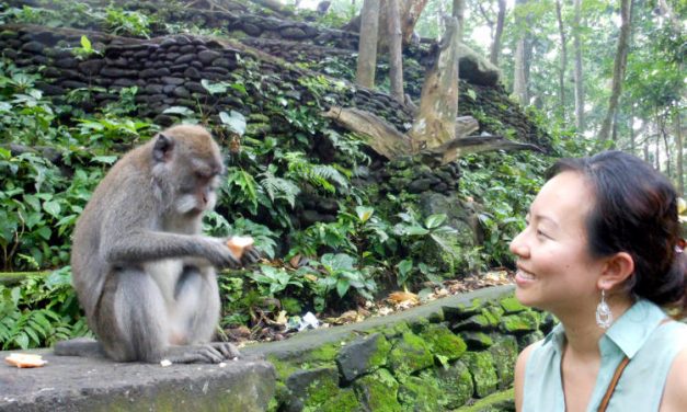 Visiting the Sacred Monkey Forest Sanctuary of Bali