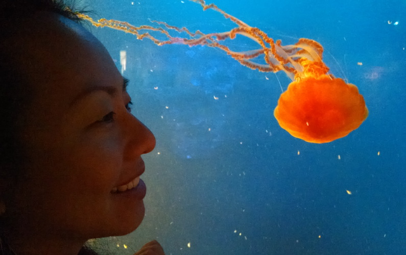 Nadia Looking at a Red Orange Jellyfish with Long Tentacles at the Vancouver Aquarium