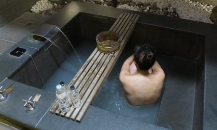 Relaxing Beitou Thermal Spa at Grand View Resort