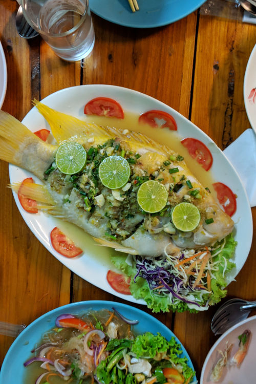 Fish Cooking Love Chiang Mai Thailand 02
