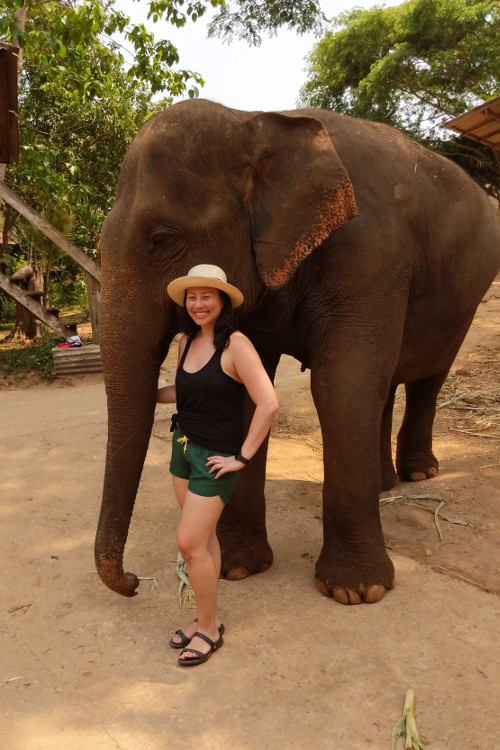 Nadia Elephant Walk at Chai Lai Chiang Mai 2019