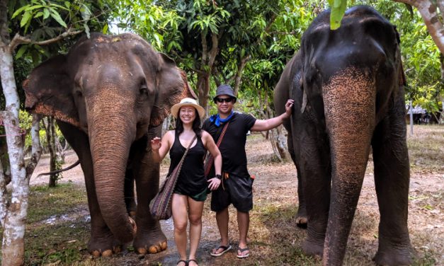 Taking a Walk on the Wild Side with Elephants